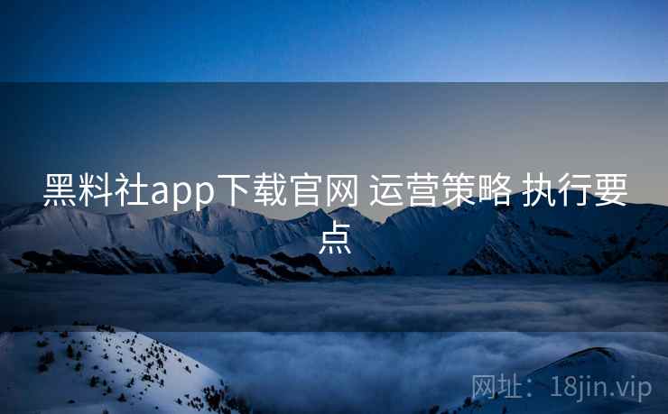 黑料社app下载官网 运营策略 执行要点  第1张