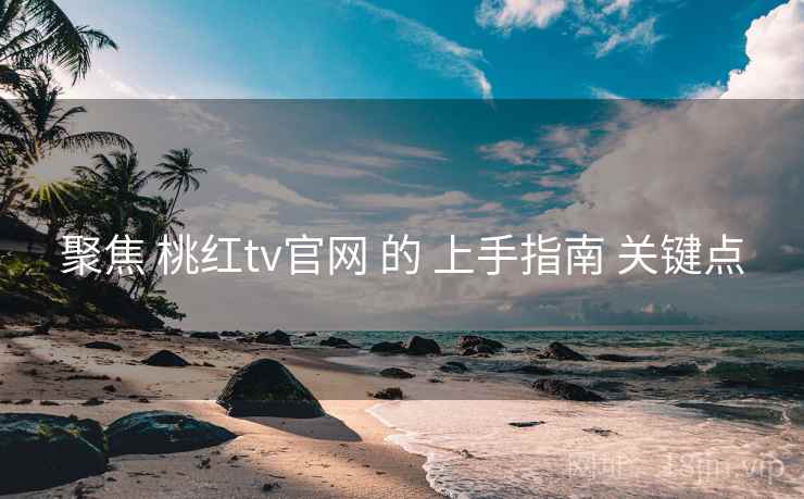 聚焦 桃红tv官网 的 上手指南 关键点  第2张