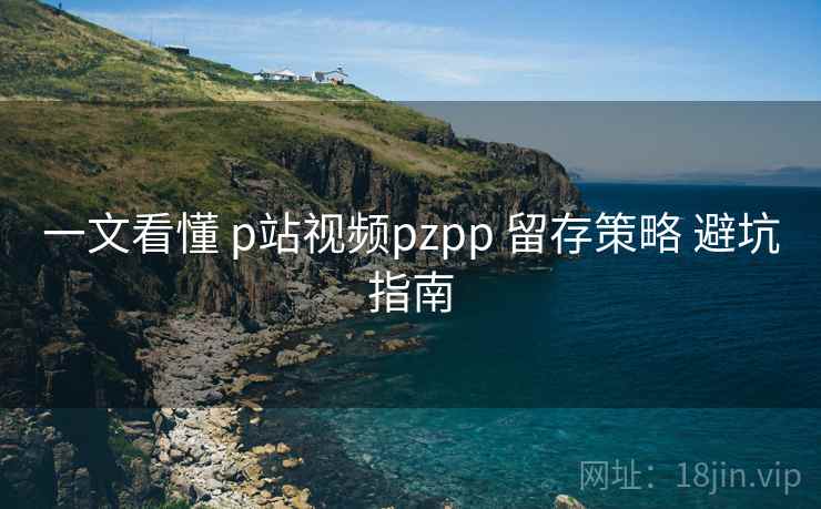一文看懂 p站视频pzpp 留存策略 避坑指南  第1张